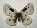 Parnassius ssp (aberration) (Internet Image property of respective owner, non-commercial use only)